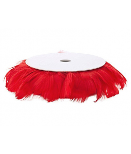 Plume Rouge