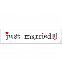Plaque d'immatriculation "Just married" funny typo noir et rouge