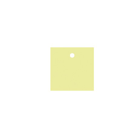 25 x Nominette verte carrée en carton (4 cm X 4 cm)
