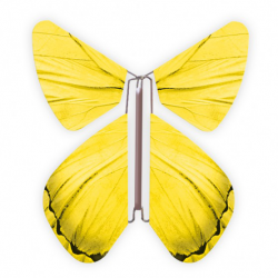 10 x papillon magique jaune