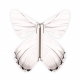 10 x papillon magique blanc
