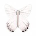 10 x papillon magique blanc