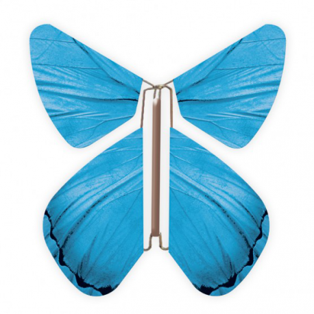 10 x papillon magique bleu