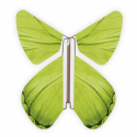 10 x papillon magique vert