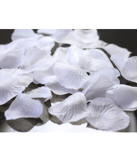 100 x Pétales de roses blanc